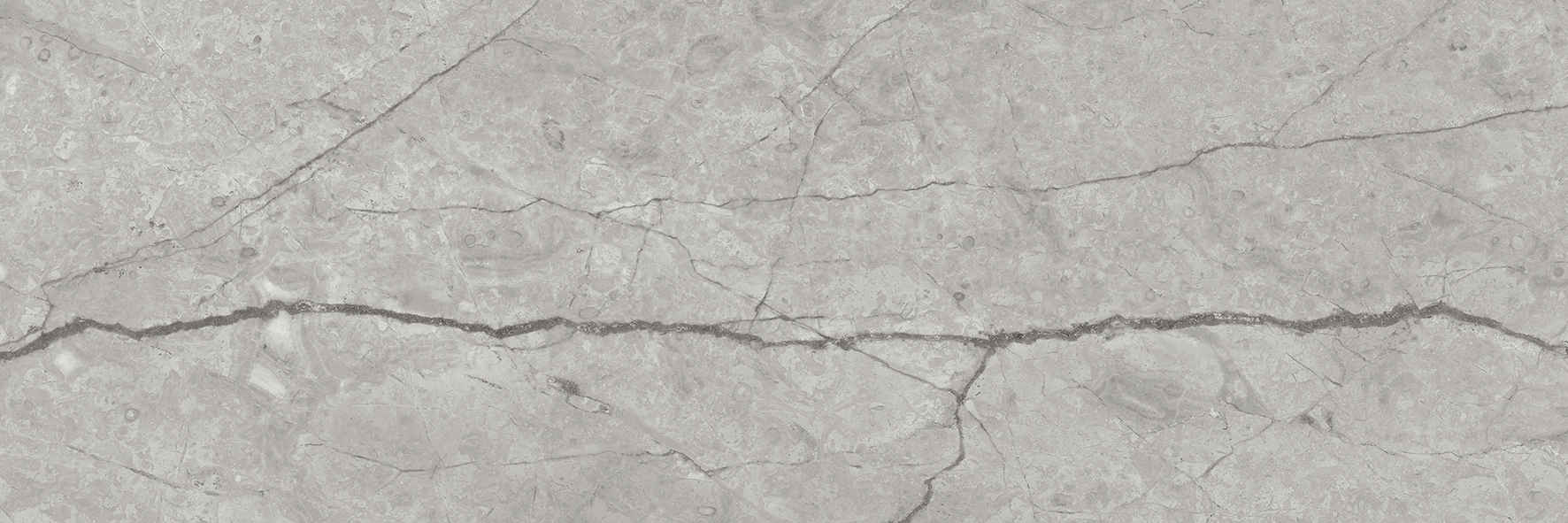 paradiso argento pattern glazed porcelain field tile from la marca anatolia collection distributed by surface group international polished finish rectified edge 4x12 rectangle shape