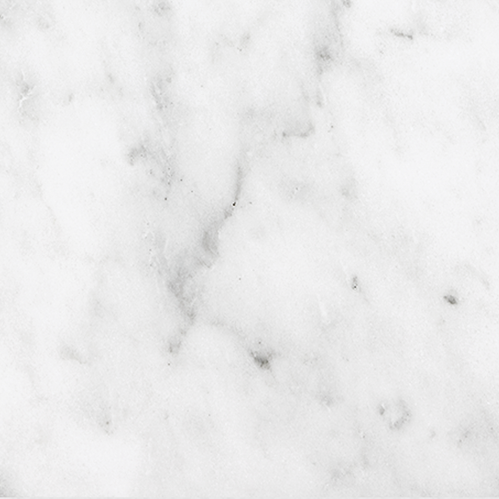 marble pattern natural stone field tile from bianco venatino anatolia collection distributed by surface group international honed finish micro beveled edge 6x6 square shape