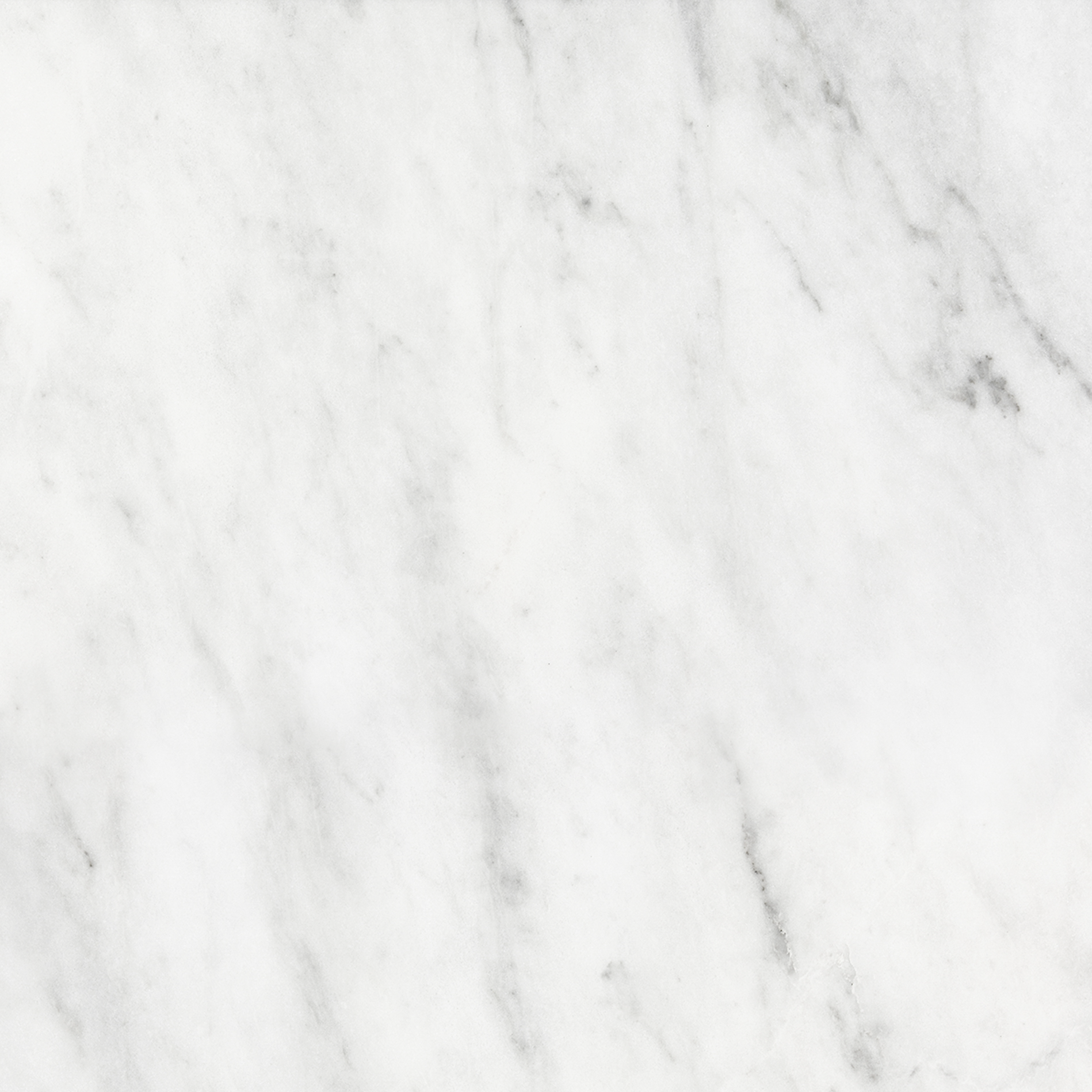 marble pattern natural stone field tile from bianco venatino anatolia collection distributed by surface group international polished finish micro beveled edge 18x18 square shape