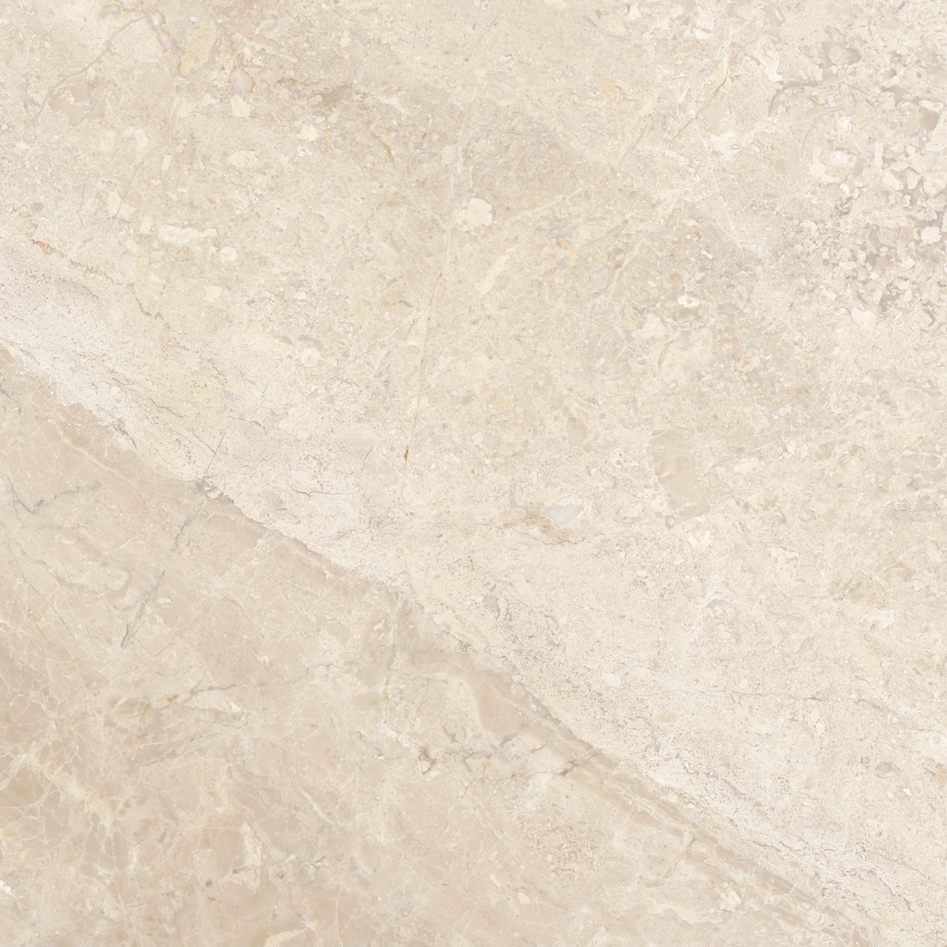 marble pattern natural stone field tile from impero reale anatolia collection distributed by surface group international honed finish straight edge edge 12x12 square shape