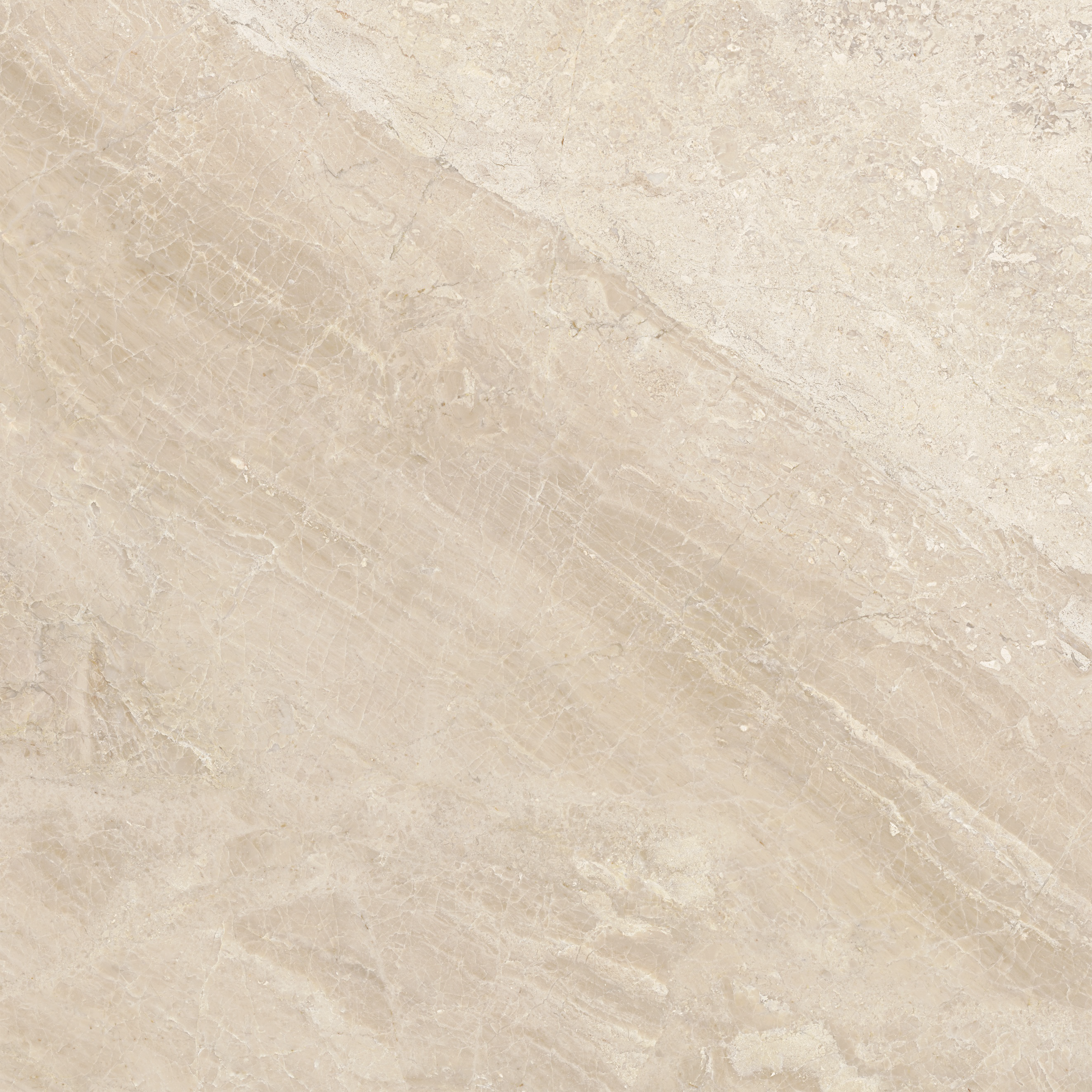 marble pattern natural stone field tile from impero reale anatolia collection distributed by surface group international polished finish straight edge edge 24x24 square shape
