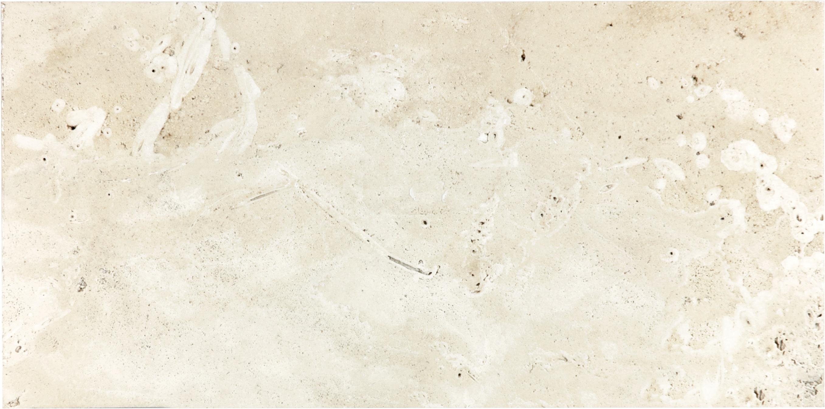 travertine pattern natural stone field tile from ivory anatolia collection distributed by surface group international brushed finish straight edge edge 8x16 rectangle shape