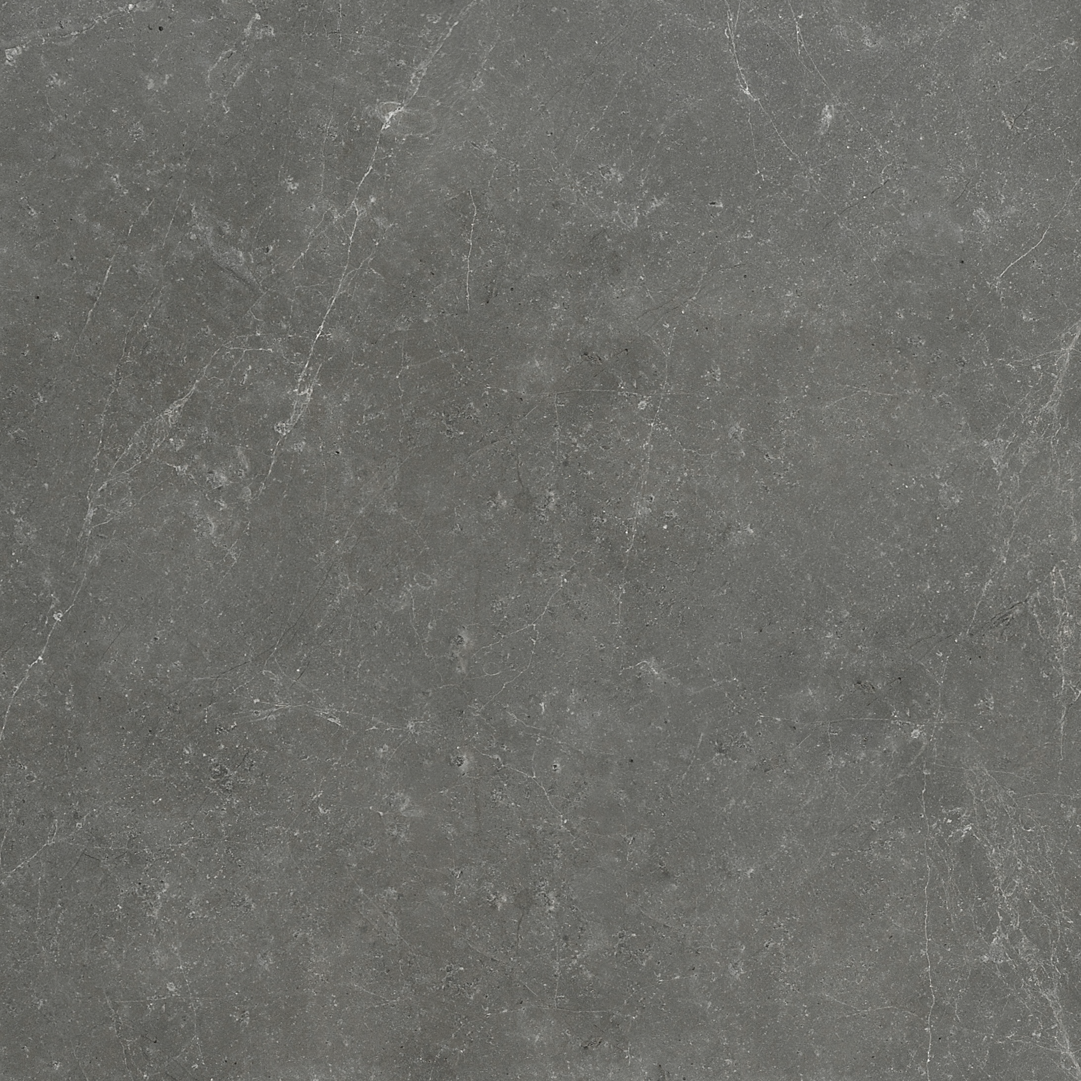 marble pattern natural stone field tile from stark carbon anatolia collection distributed by surface group international polished finish straight edge edge 24x24 square shape