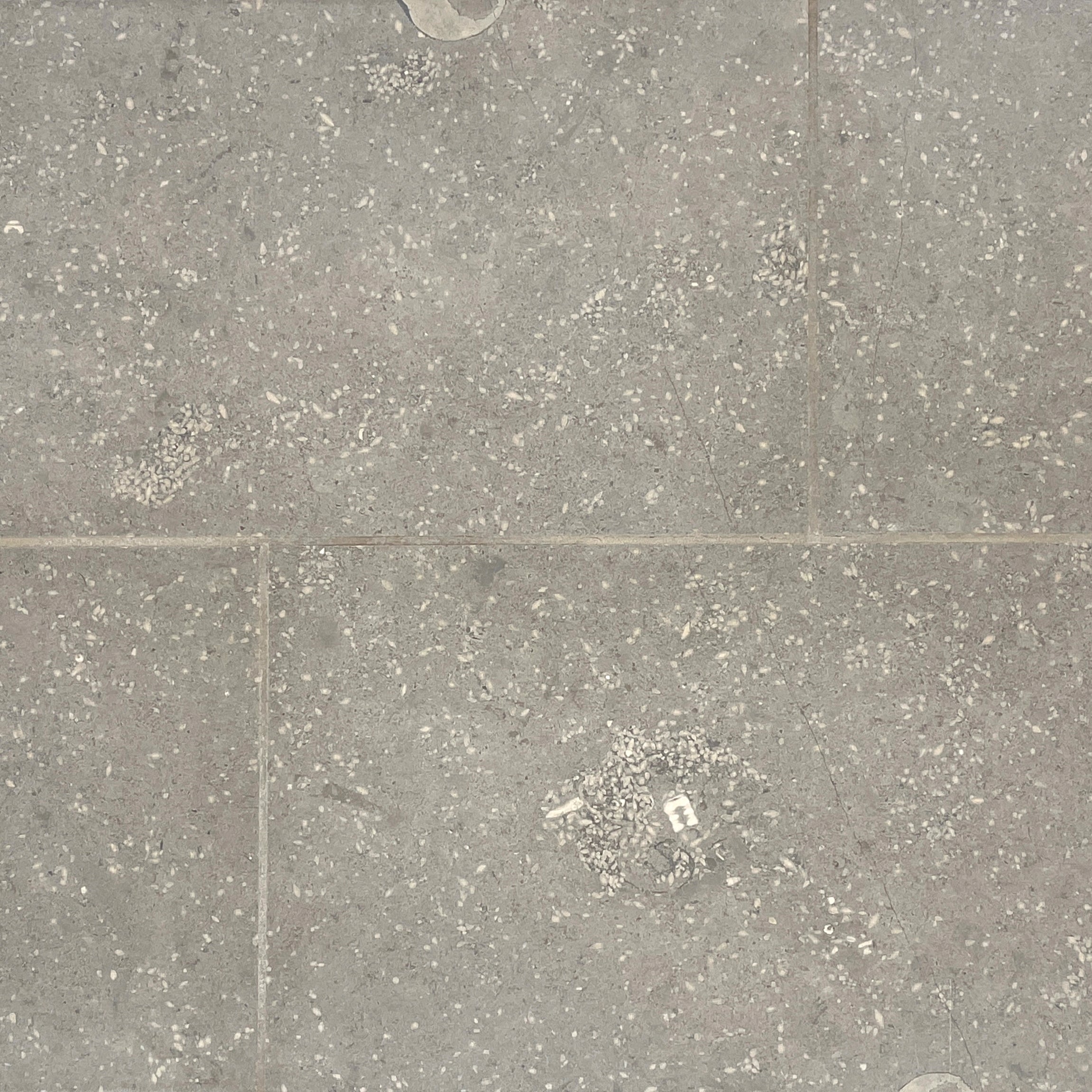 american limestone fossil star grey versailles pattern interior natural stone tile for floor and wall made in united states distributed by surface group international