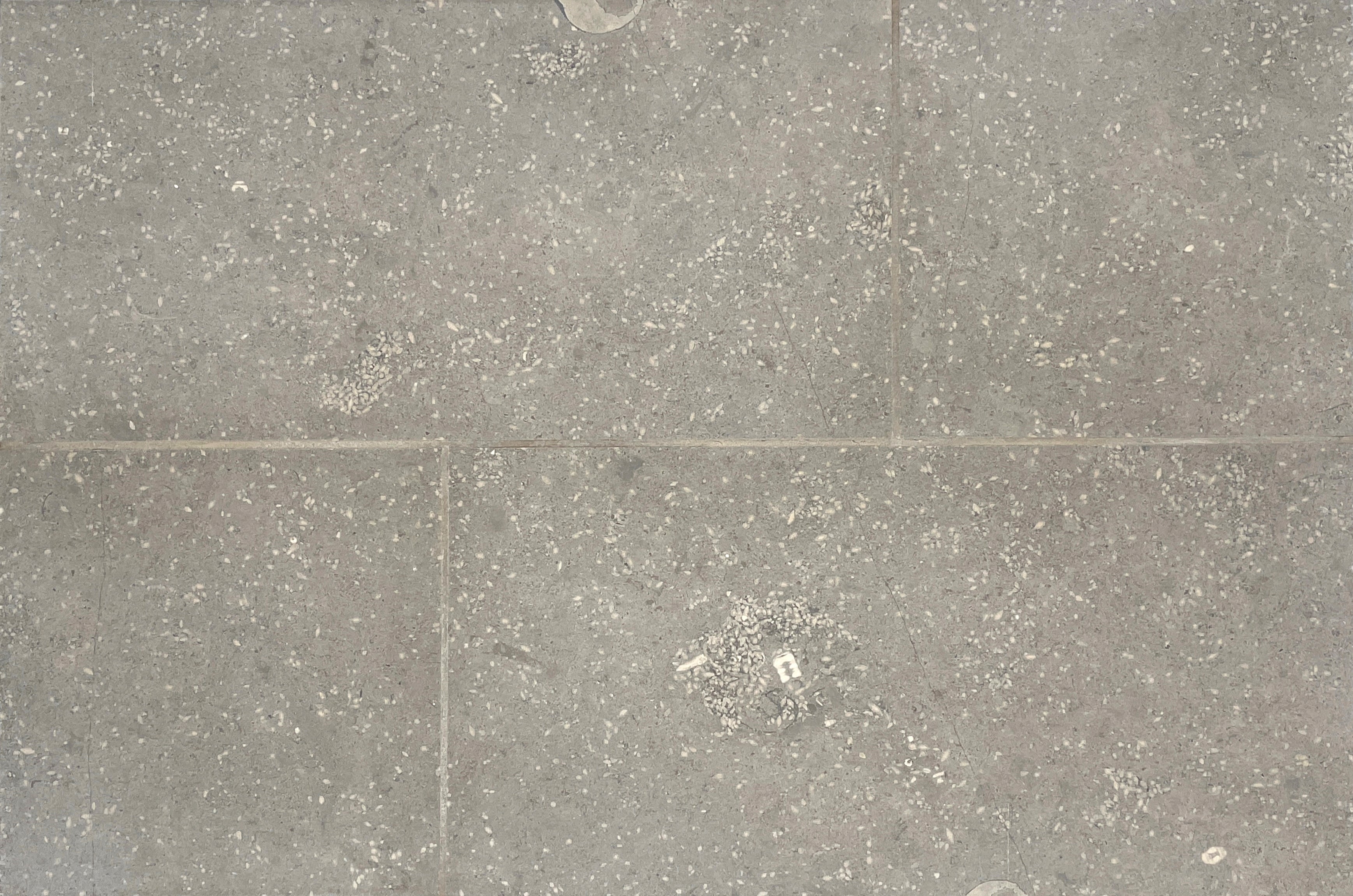 american limestone fossil star grey versailles pattern interior natural stone tile for floor and wall made in united states distributed by surface group international