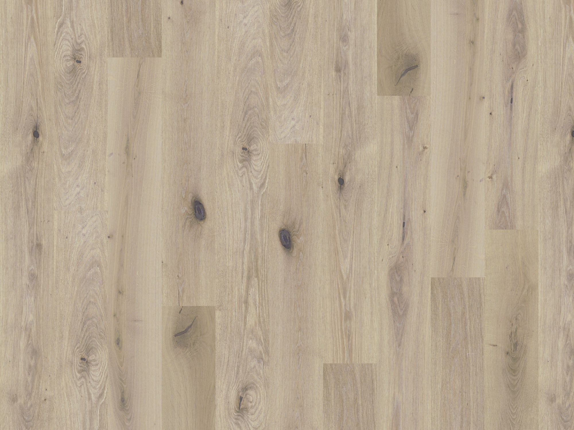 duchateau signature global winds chinook european oak engineered hardnatural wood floor uv lacquer finish for interior use distributed by surface group international