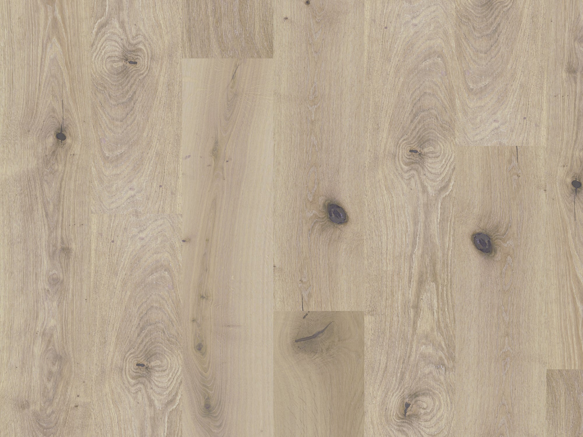 duchateau signature global winds chinook european oak engineered hardnatural wood floor uv lacquer finish for interior use distributed by surface group international