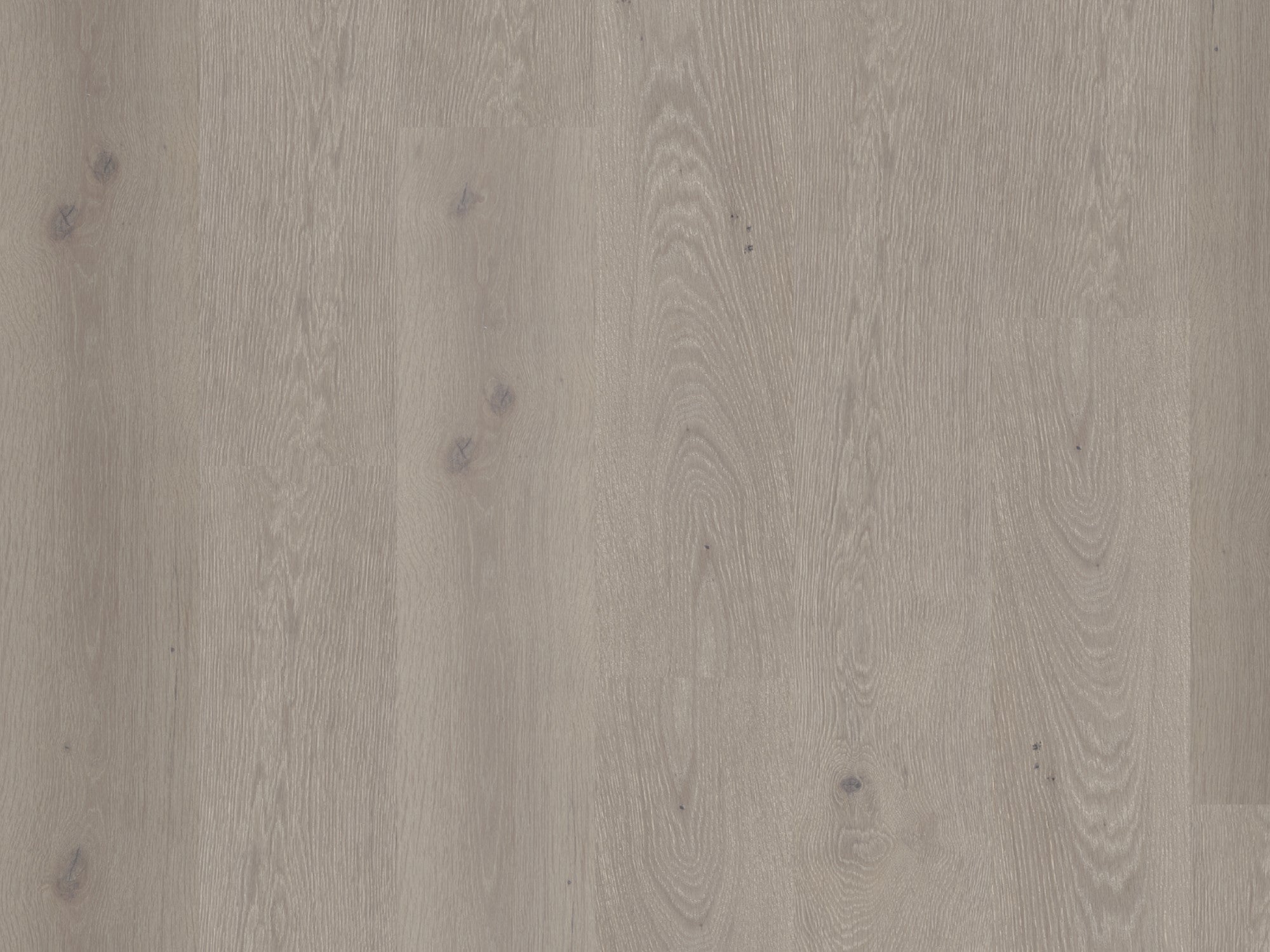 duchateau signature global winds levante european oak engineered hardnatural wood floor uv lacquer finish for interior use distributed by surface group international