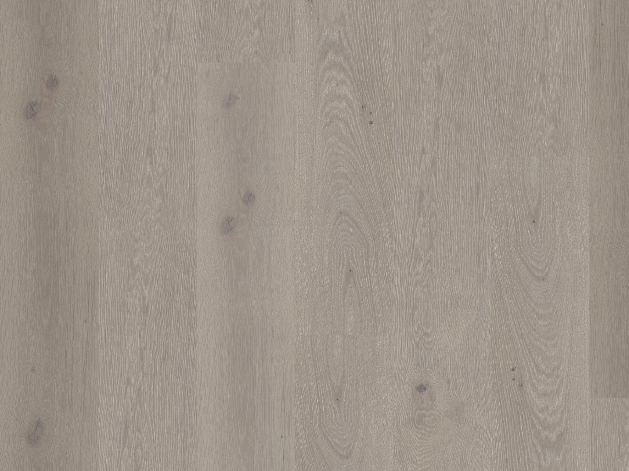 duchateau signature global winds levante european oak engineered hardnatural wood floor uv lacquer finish for interior use distributed by surface group international