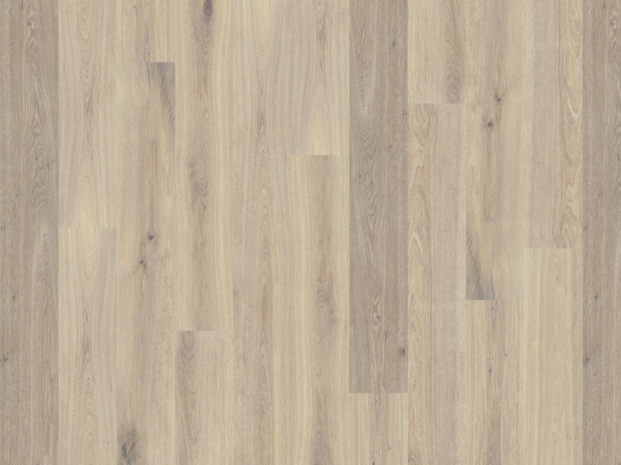 duchateau signature global winds mistral european oak engineered hardnatural wood floor uv lacquer finish for interior use distributed by surface group international