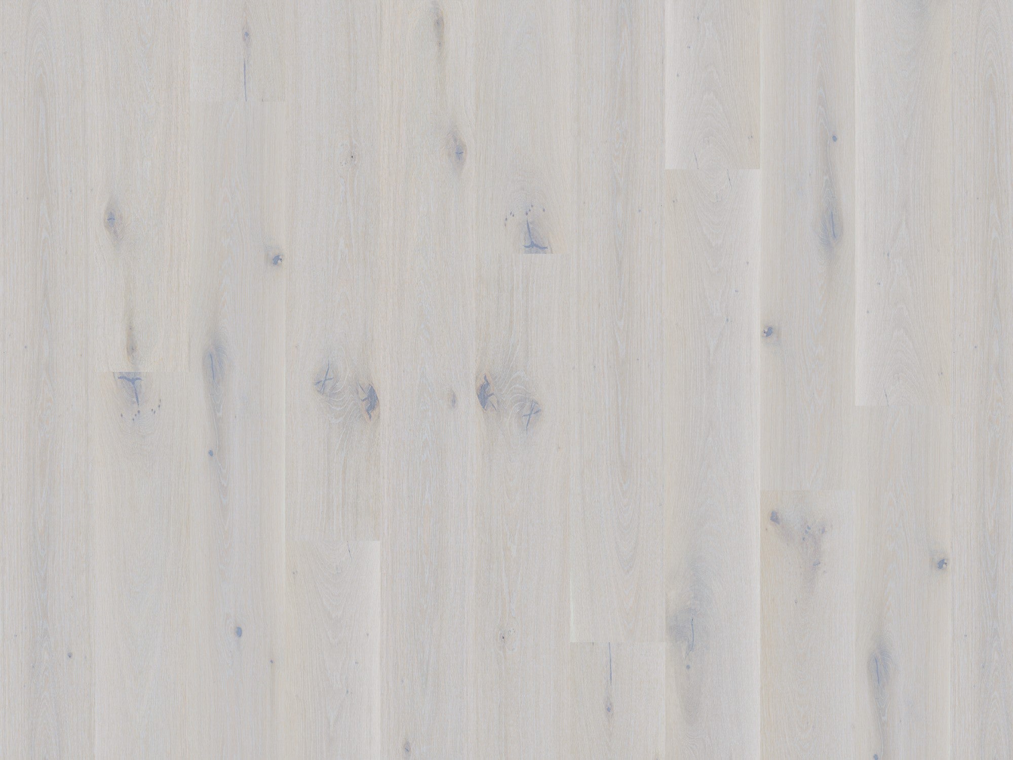 duchateau signature global winds sirocco european oak engineered hardnatural wood floor uv lacquer finish for interior use distributed by surface group international