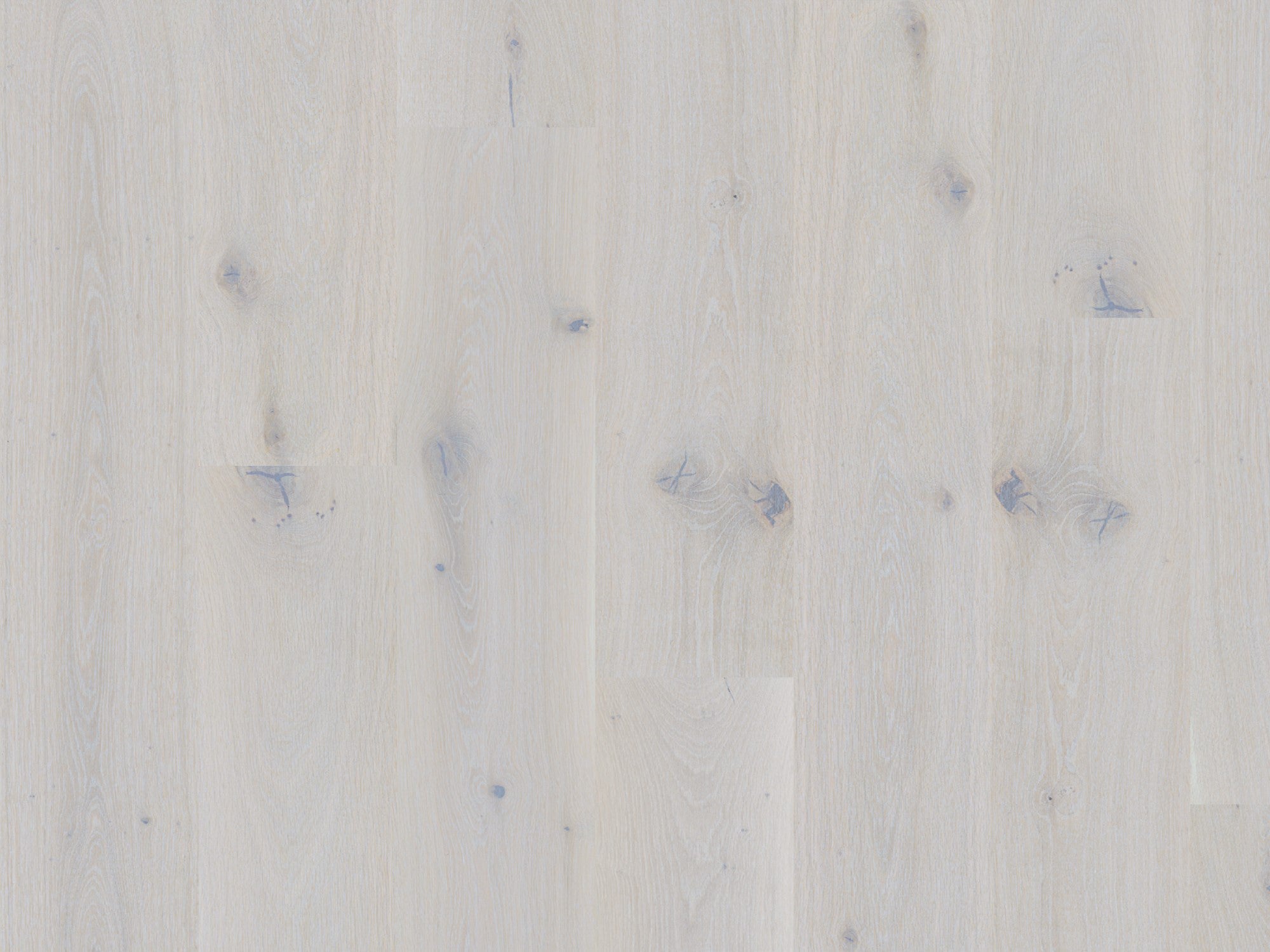 duchateau signature global winds sirocco european oak engineered hardnatural wood floor uv lacquer finish for interior use distributed by surface group international
