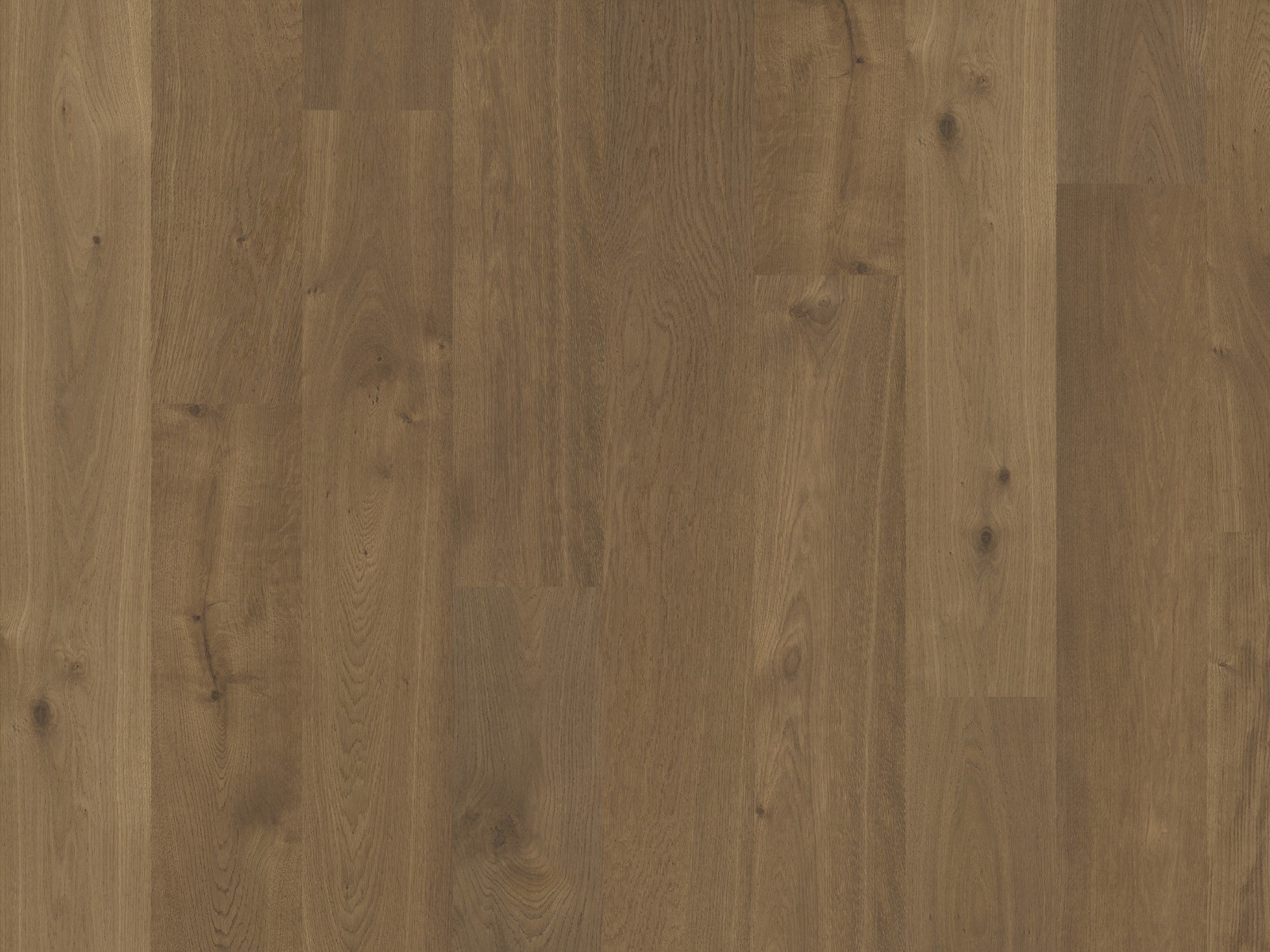 duchateau signature terra alpine european oak engineered hardnatural wood floor uv lacquer finish for interior use distributed by surface group international
