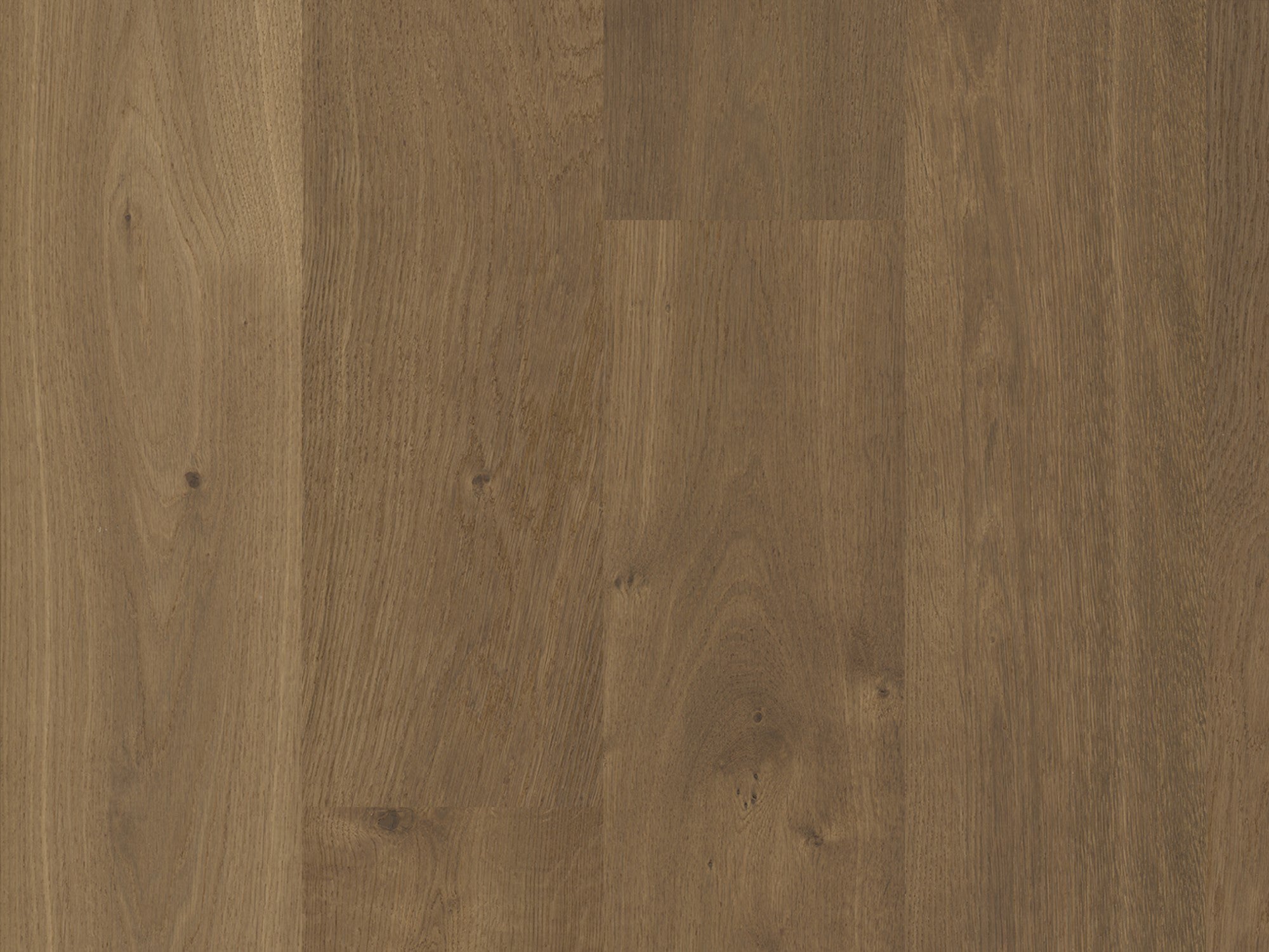 duchateau signature terra alpine european oak engineered hardnatural wood floor uv lacquer finish for interior use distributed by surface group international