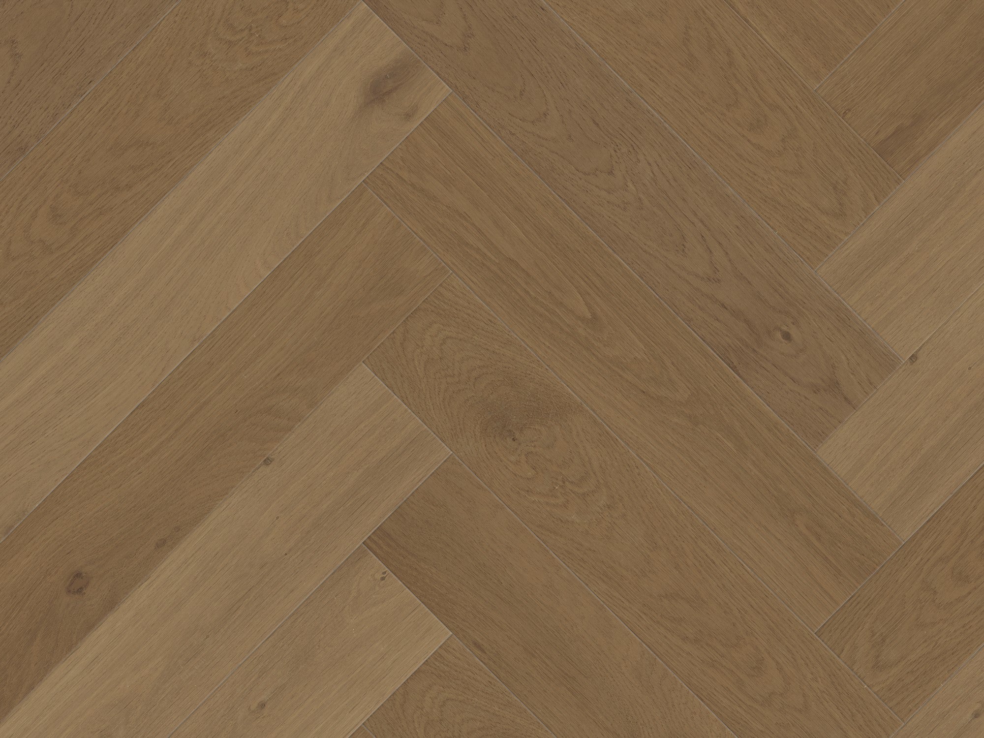 duchateau signature terra alpine herringbone european oak engineered hardnatural wood floor uv lacquer finish for interior use distributed by surface group international