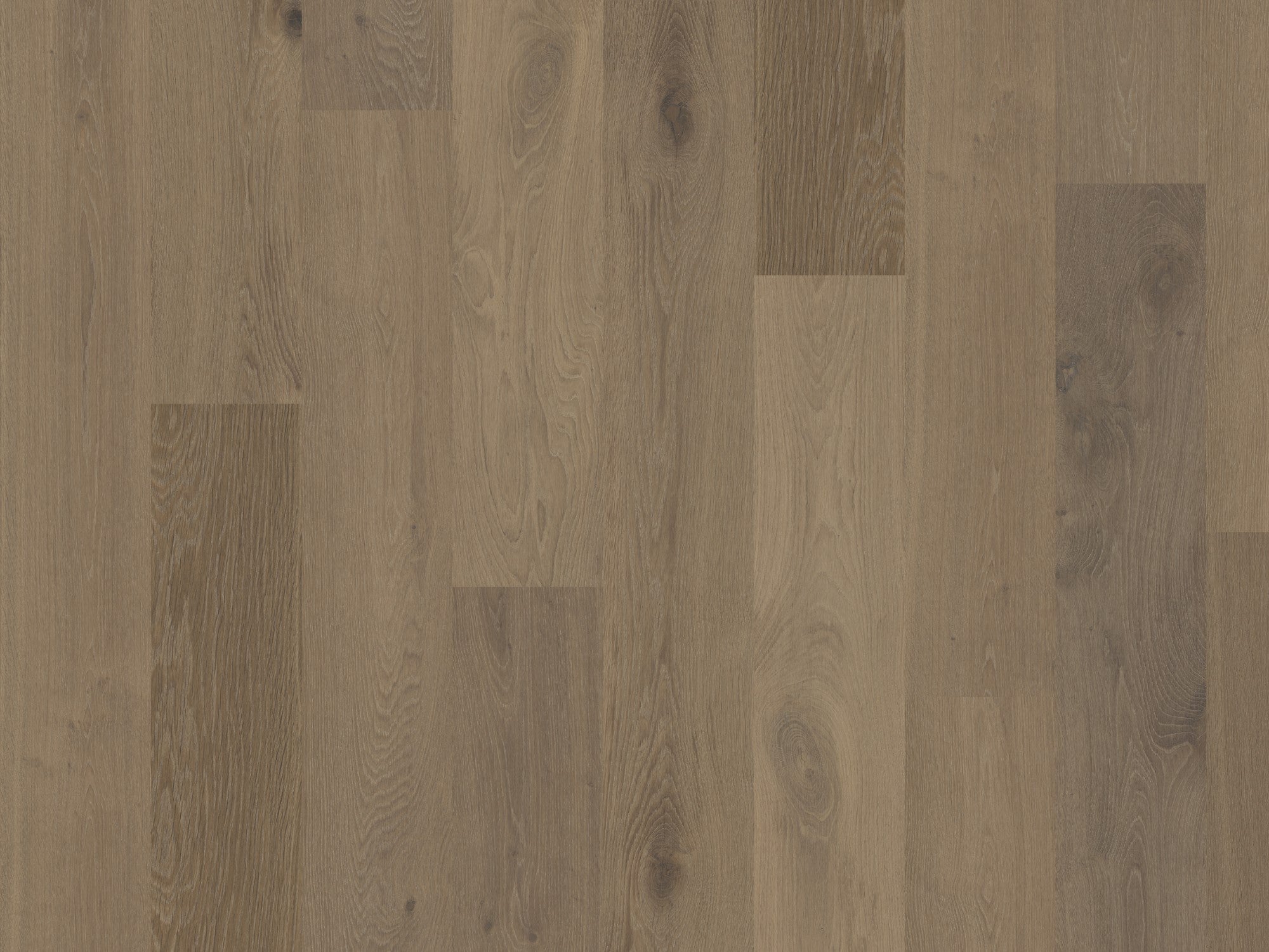 duchateau signature terra chaparral european oak engineered hardnatural wood floor uv lacquer finish for interior use distributed by surface group international