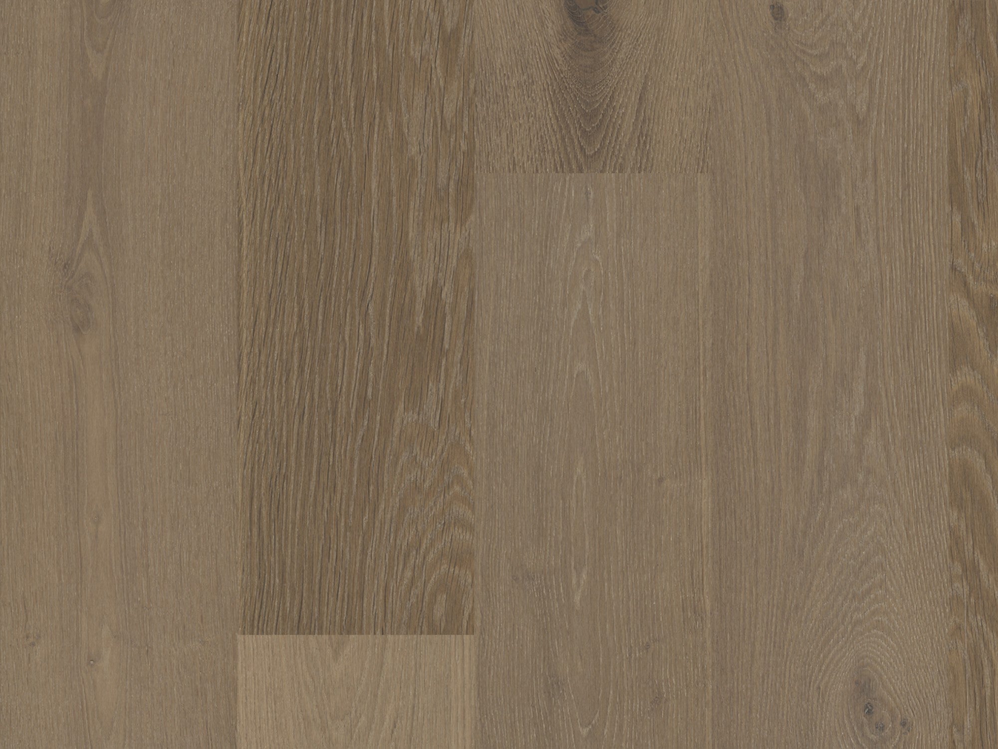 duchateau signature terra chaparral european oak engineered hardnatural wood floor uv lacquer finish for interior use distributed by surface group international
