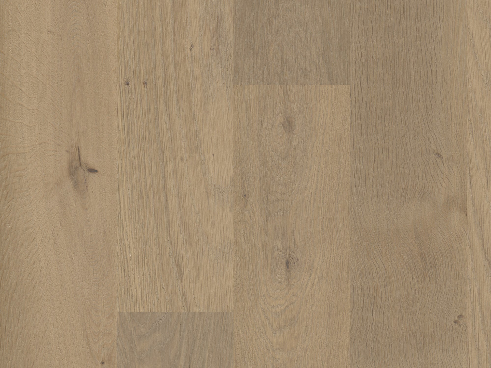 duchateau signature terra savanna european oak engineered hardnatural wood floor uv lacquer finish for interior use distributed by surface group international