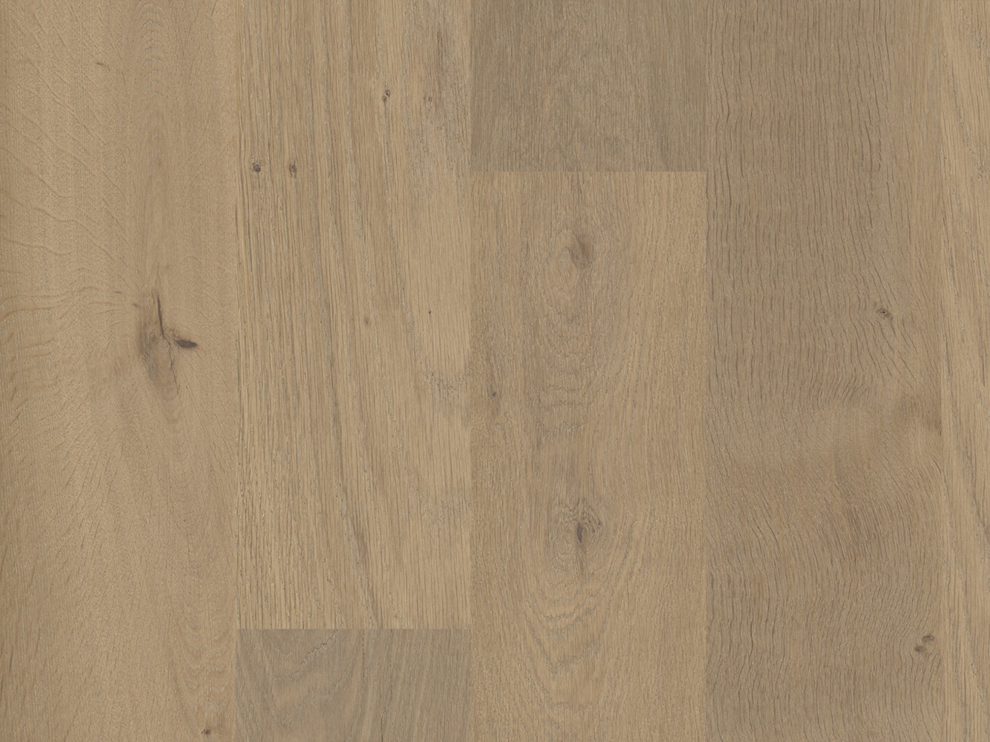 duchateau signature terra savanna european oak engineered hardnatural wood floor uv lacquer finish for interior use distributed by surface group international