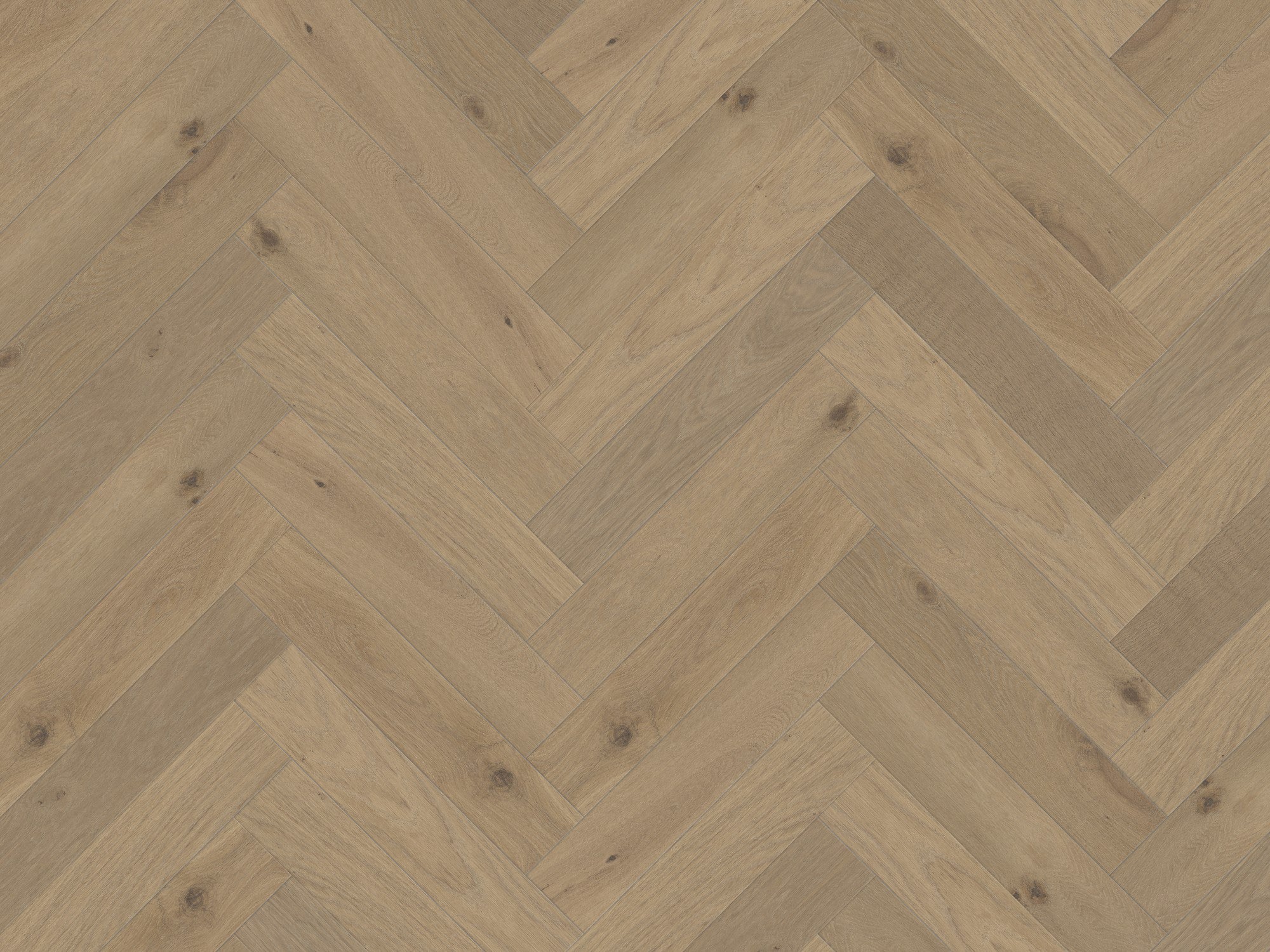 duchateau signature terra savanna herringbone european oak engineered hardnatural wood floor uv lacquer finish for interior use distributed by surface group international