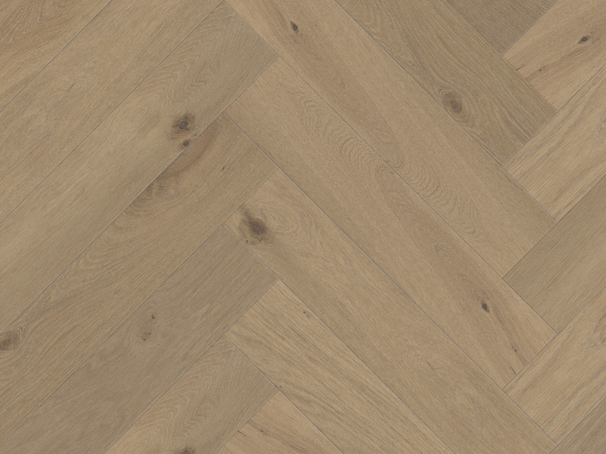 duchateau signature terra savanna herringbone european oak engineered hardnatural wood floor uv lacquer finish for interior use distributed by surface group international