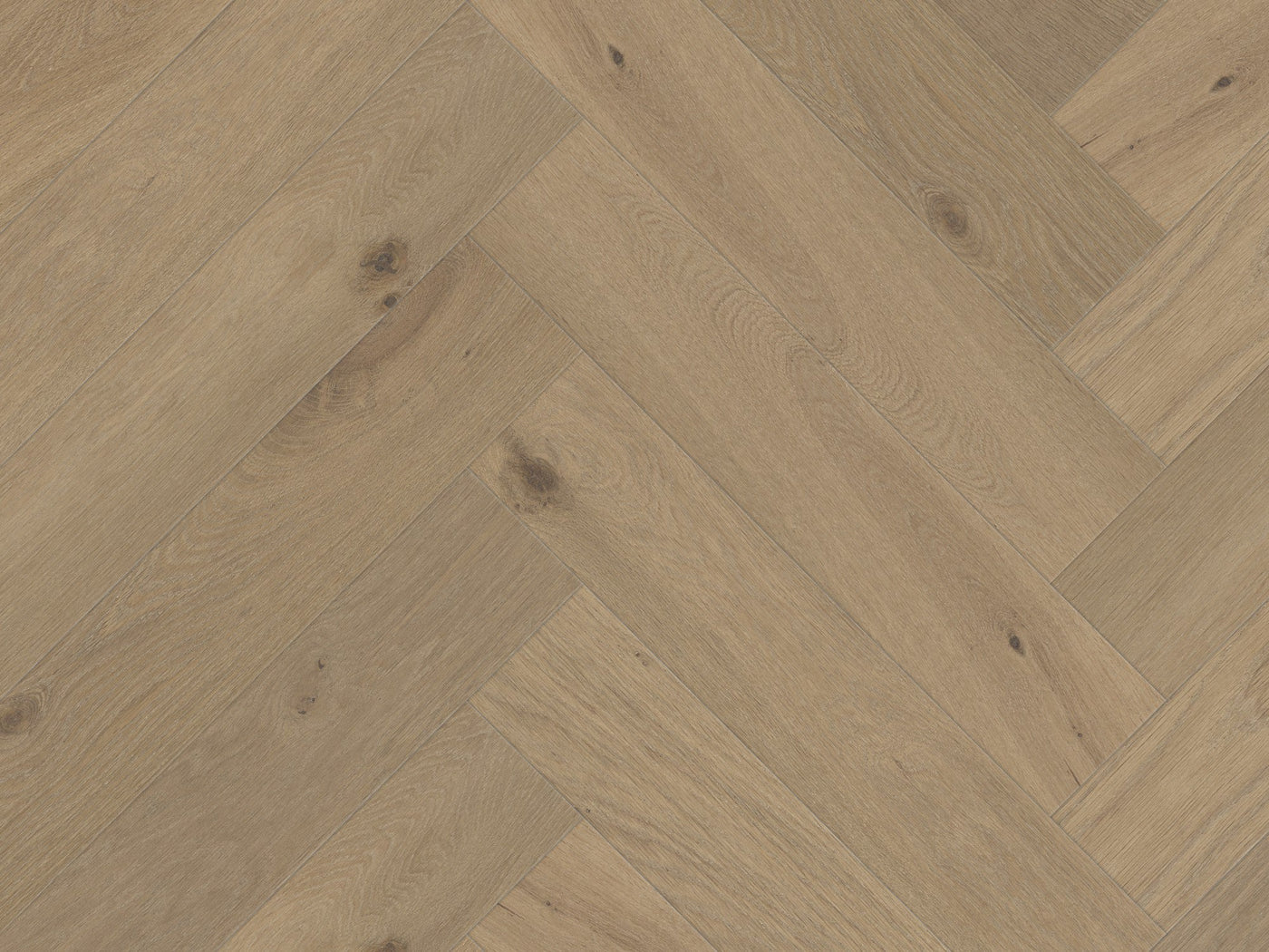 BUY ONLINE Savanna Terra Engineered Hardwood Flooring European Oak