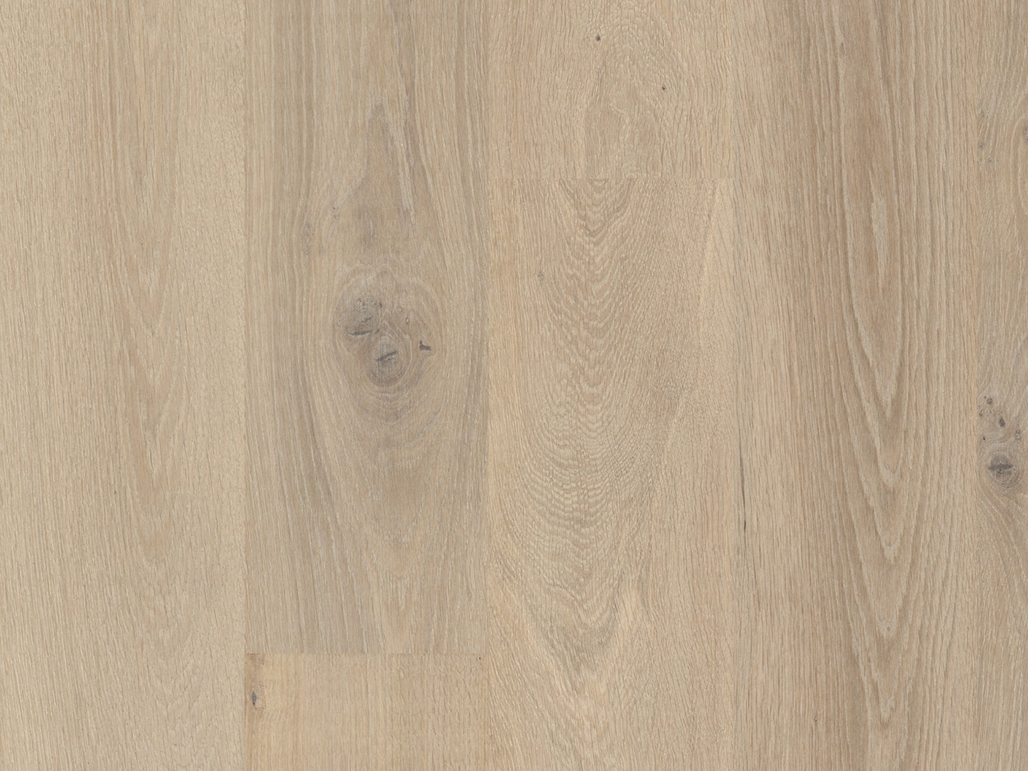duchateau signature terra taiga european oak engineered hardnatural wood floor uv lacquer finish for interior use distributed by surface group international