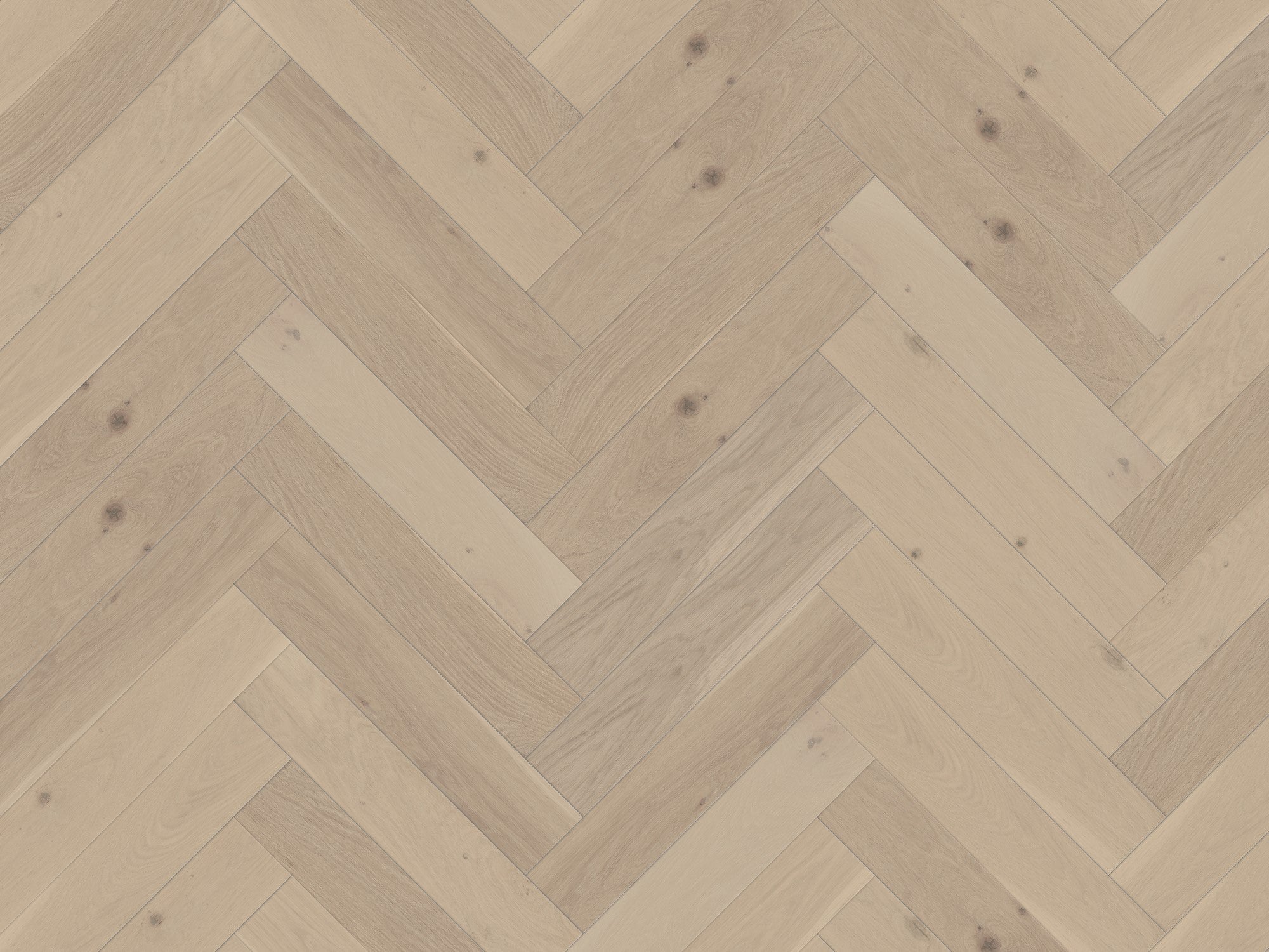 duchateau signature terra taiga herringbone european oak engineered hardnatural wood floor uv lacquer finish for interior use distributed by surface group international