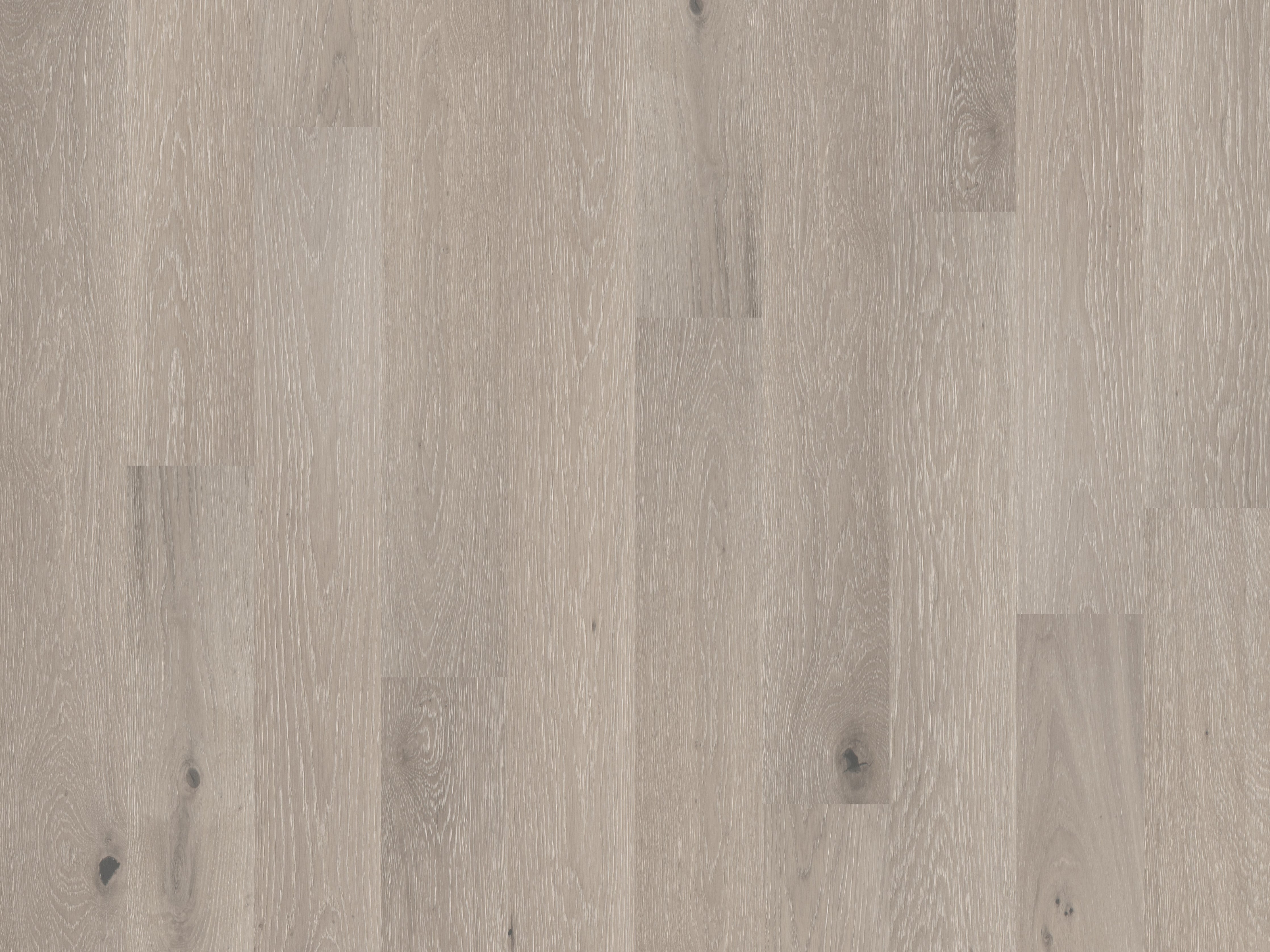 duchateau the guild lineage ava european oak engineered hardnatural wood floor uv lacquer finish for interior use distributed by surface group international