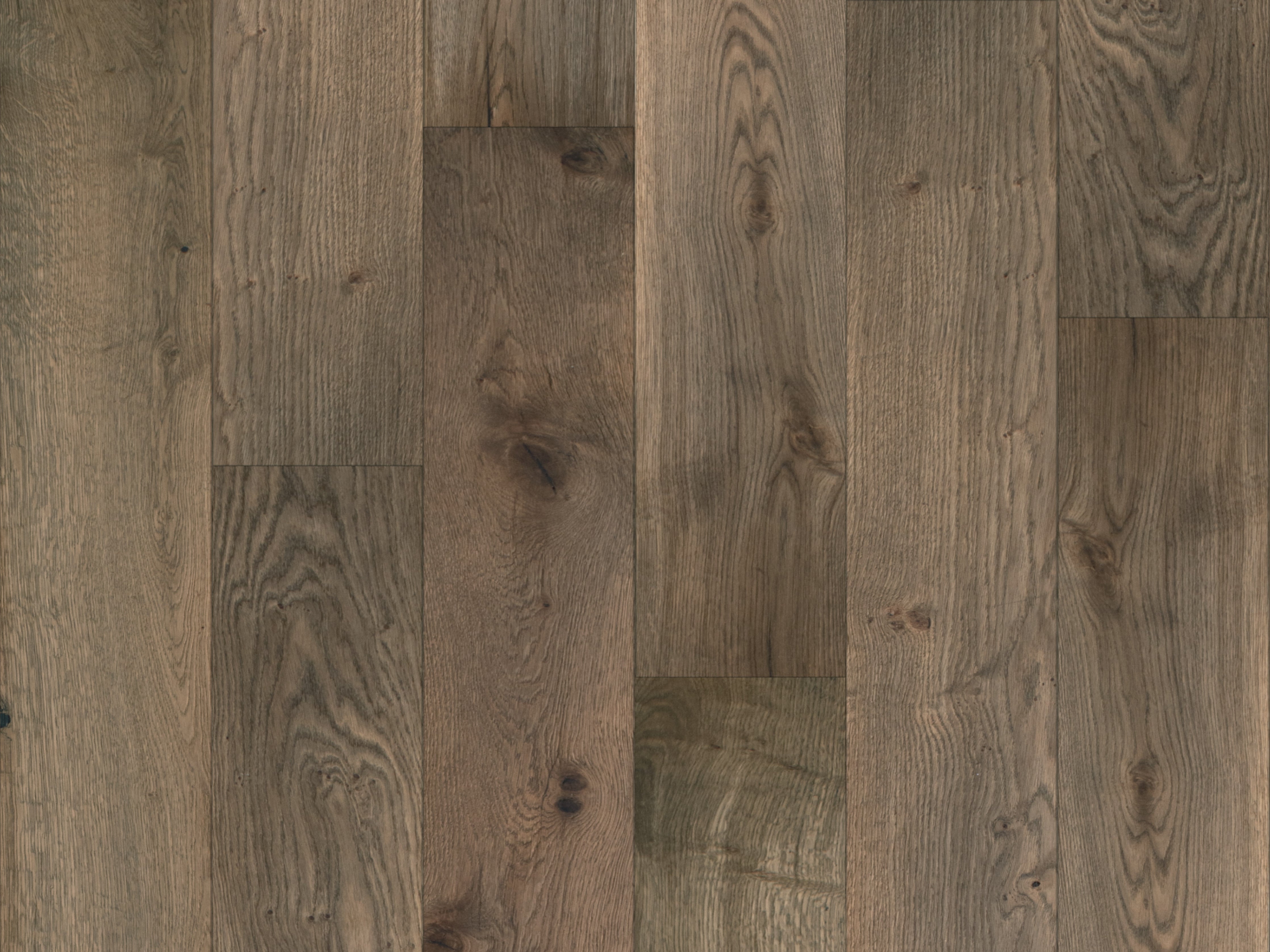 duchateau the guild lineage everly european oak engineered hardnatural wood floor uv lacquer finish for interior use distributed by surface group international