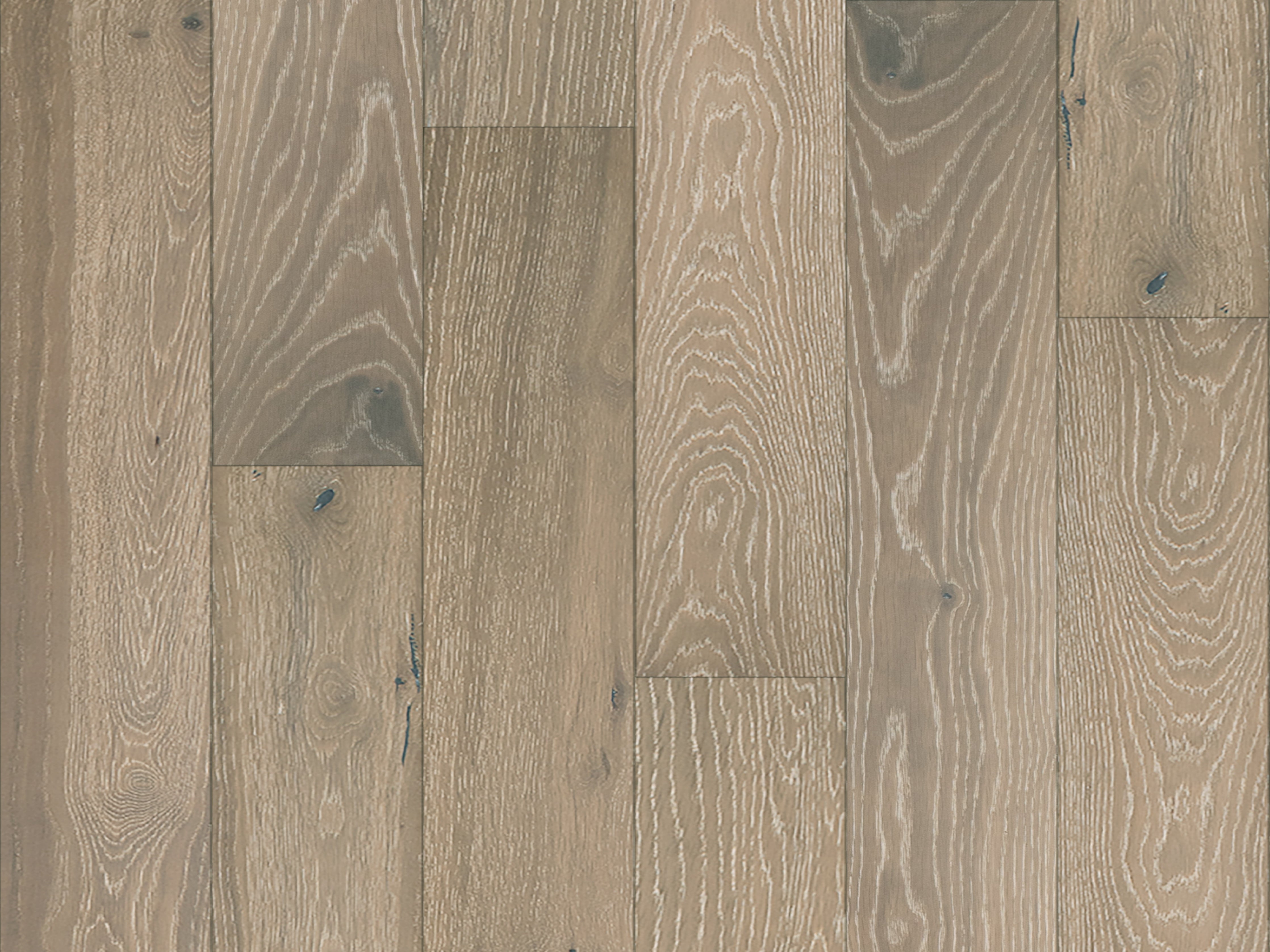 duchateau the guild lineage hailee european oak engineered hardnatural wood floor uv lacquer finish for interior use distributed by surface group international