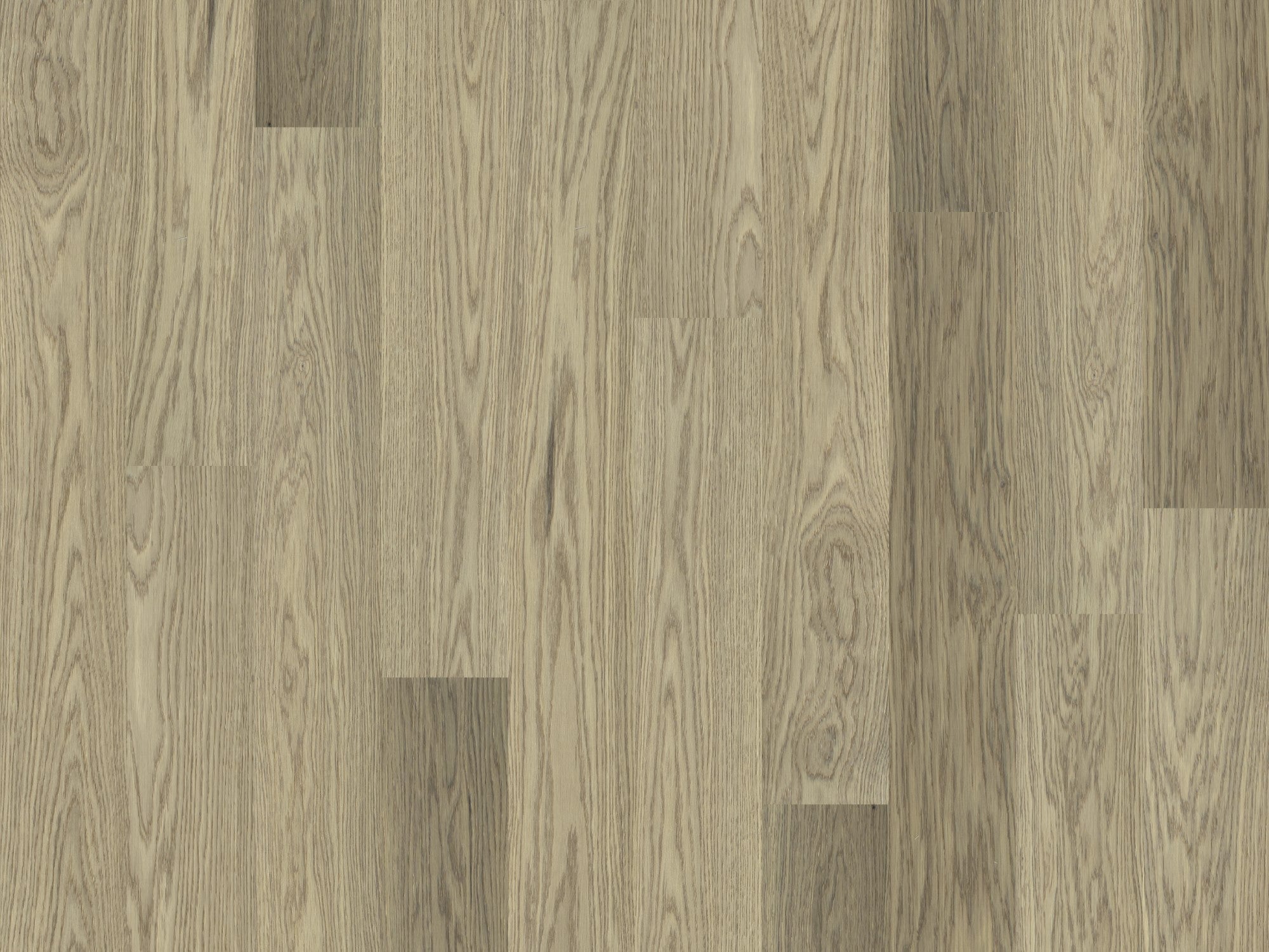 duchateau the guild lineage hannah european oak engineered hardnatural wood floor uv lacquer finish for interior use distributed by surface group international