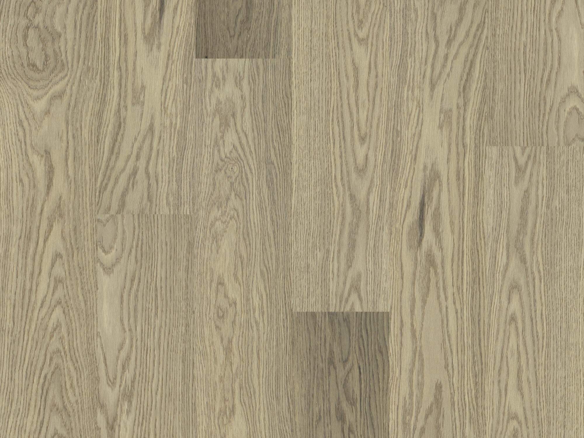 duchateau the guild lineage hannah european oak engineered hardnatural wood floor uv lacquer finish for interior use distributed by surface group international