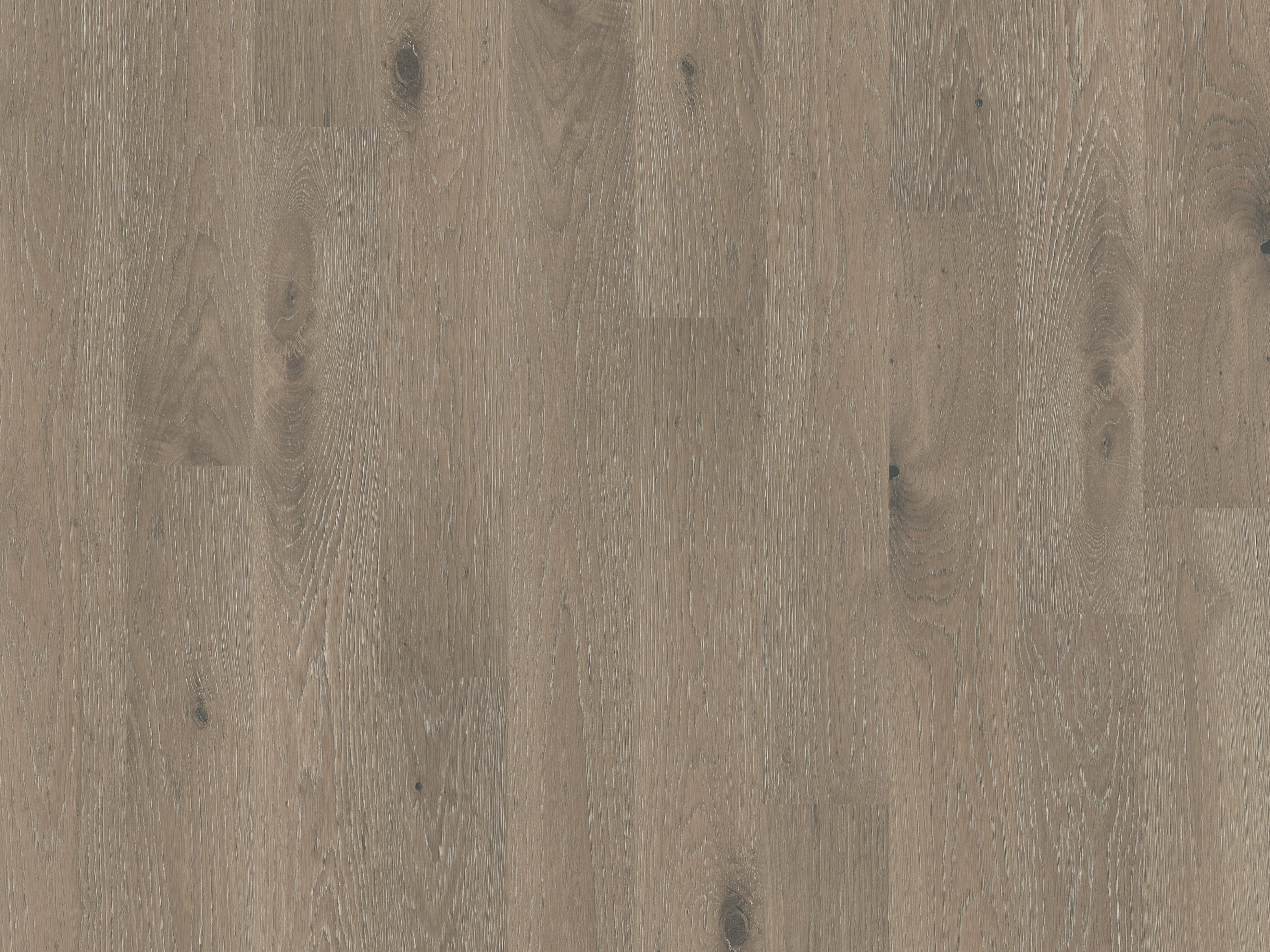 duchateau the guild lineage olivia european oak engineered hardnatural wood floor uv lacquer finish for interior use distributed by surface group international