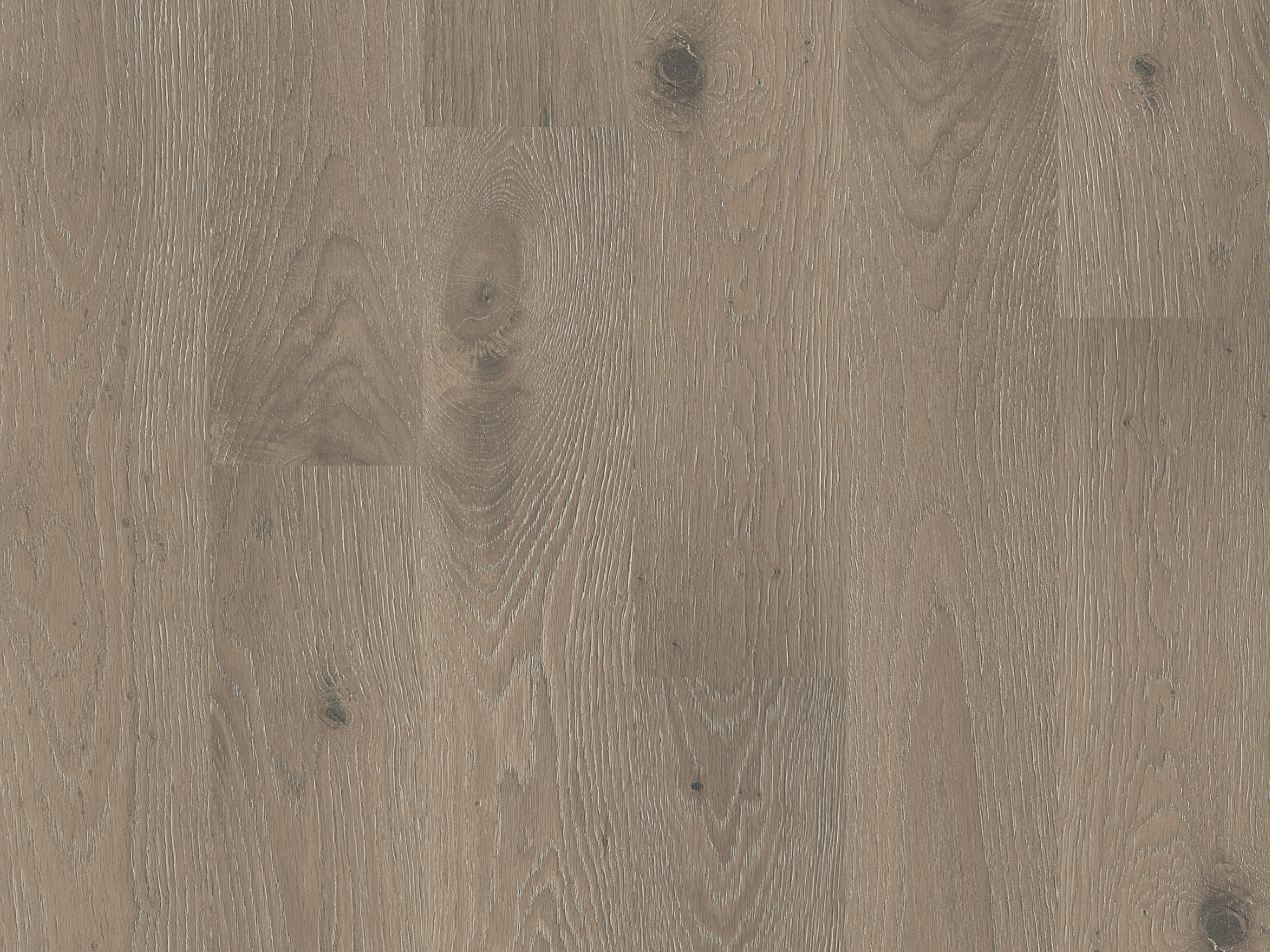 duchateau the guild lineage olivia european oak engineered hardnatural wood floor uv lacquer finish for interior use distributed by surface group international