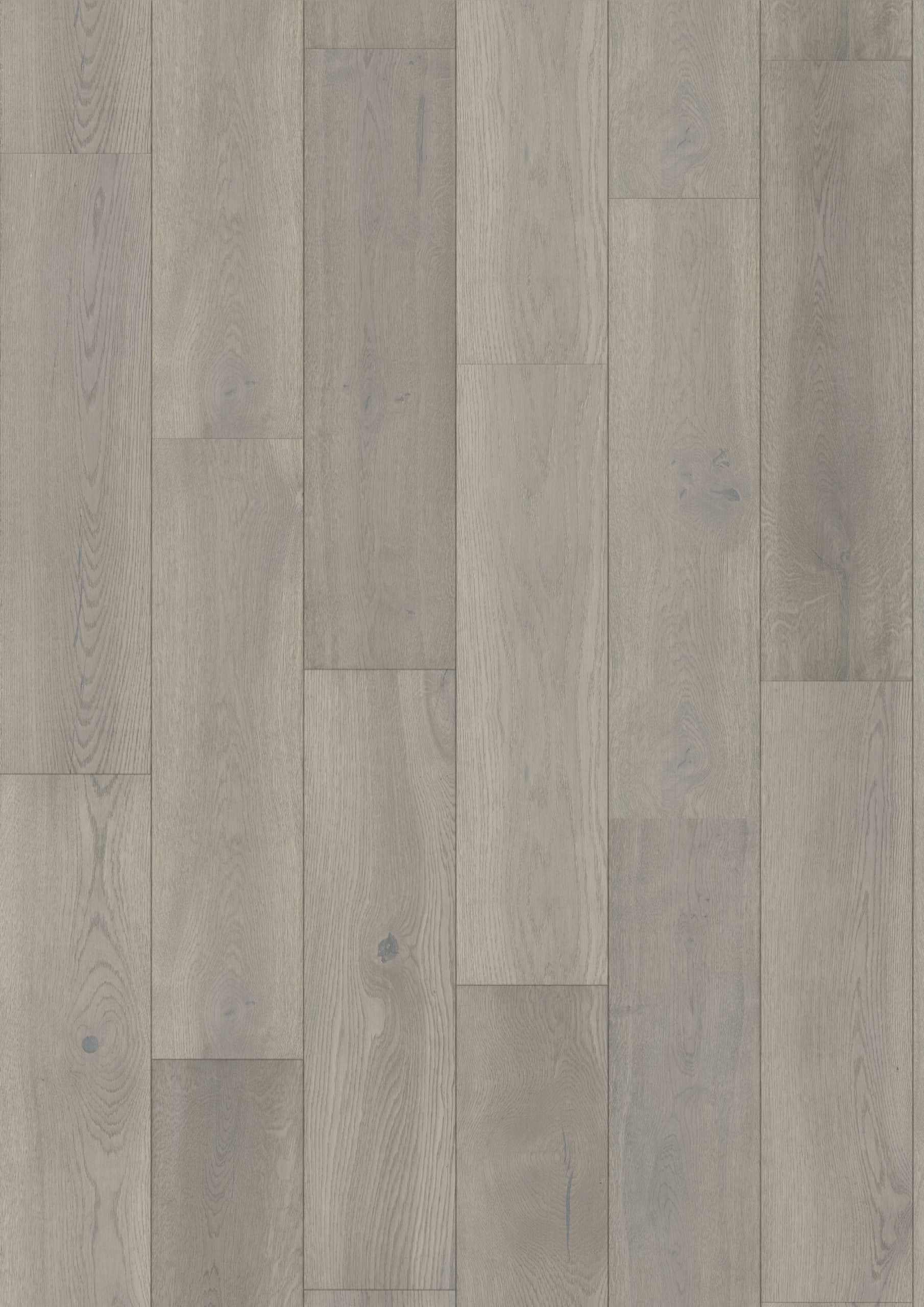 teka royal dover german french white oak natural hardwood flooring plank stain light grey distributed by surface group international
