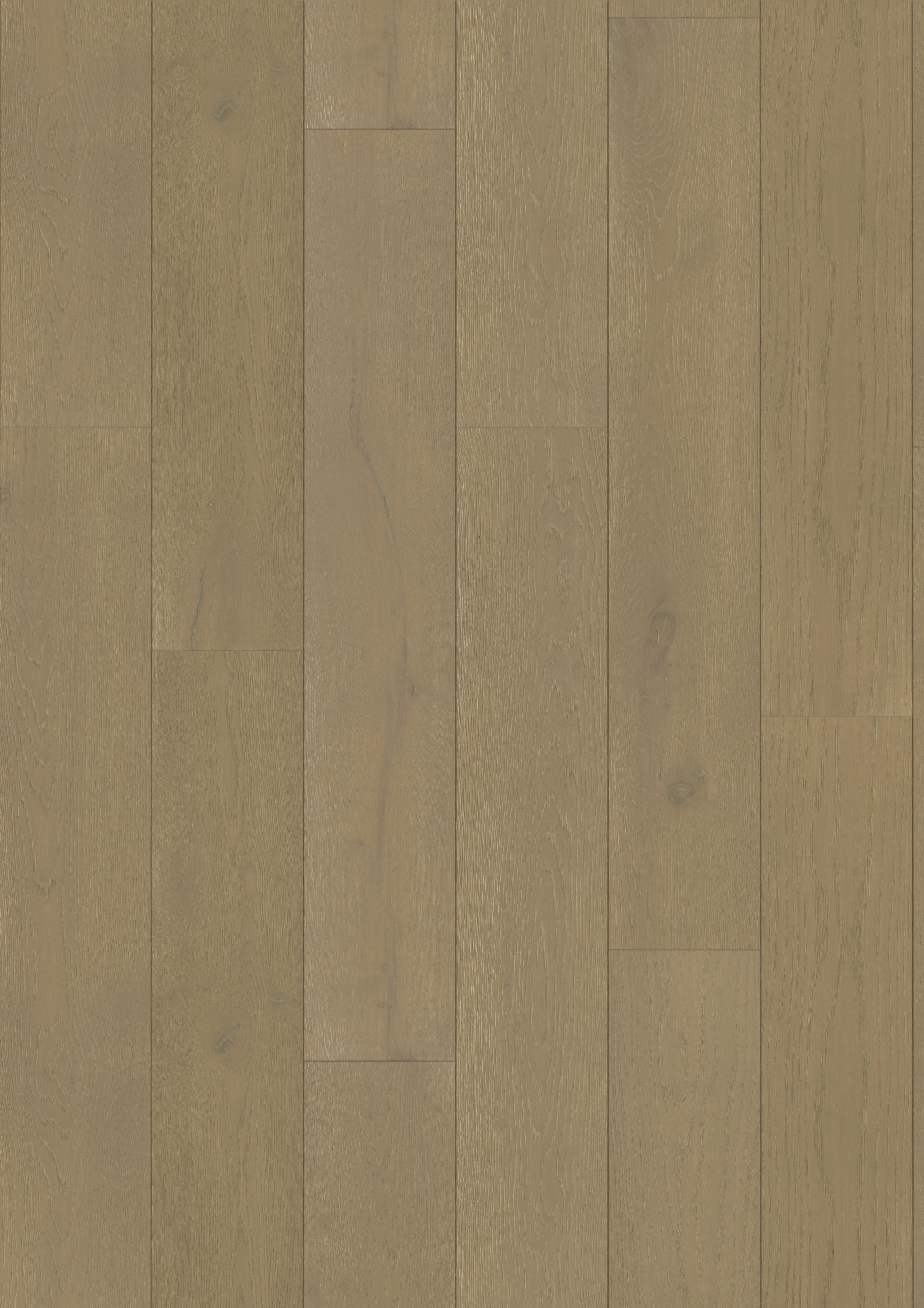 teka royal stirling german french white oak natural hardwood flooring plank stained taupe distributed by surface group international